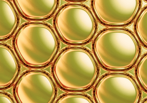 Physalis Angulata Extract